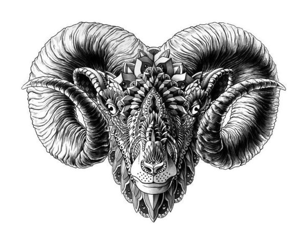 Эскизы тату Aries Овен