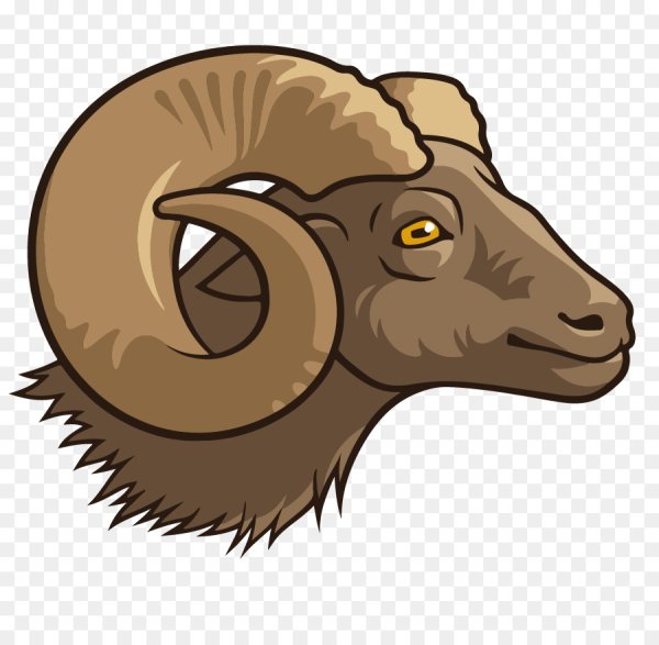 Мультяшная голова барана