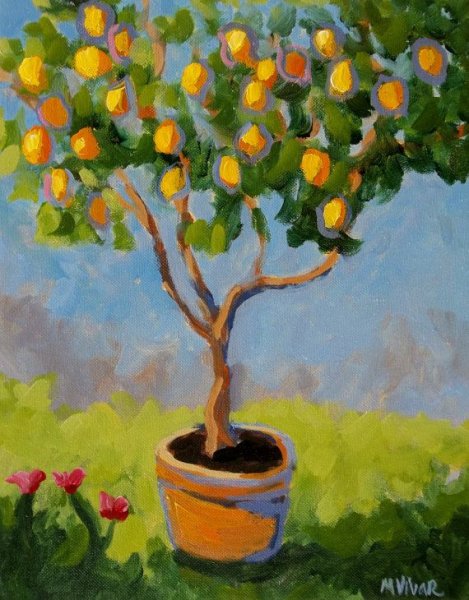 Лимонное дерево Клод