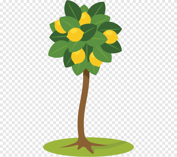 Дерево лимона без фона