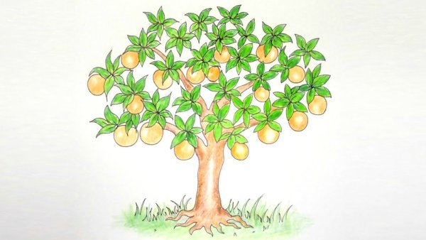 Дерево с лимонами рисунок