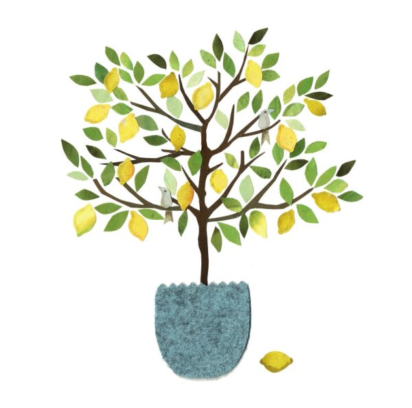 Дерево с лимонами рисунок