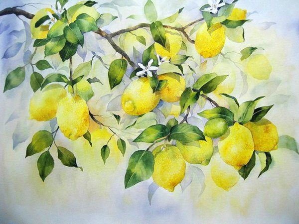 Картина Рэйчел МАКНОТОН лимоны