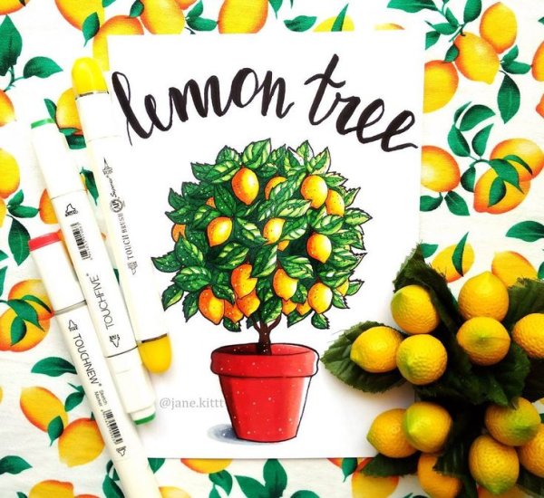 Лимонное дерево маркерами
