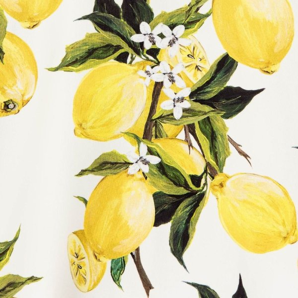 Лимонное дерево акварель