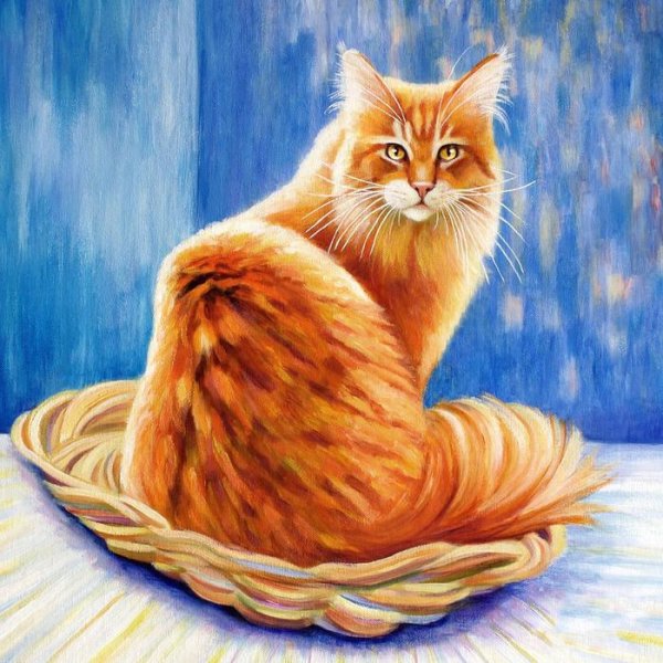 Рыжий котёнок