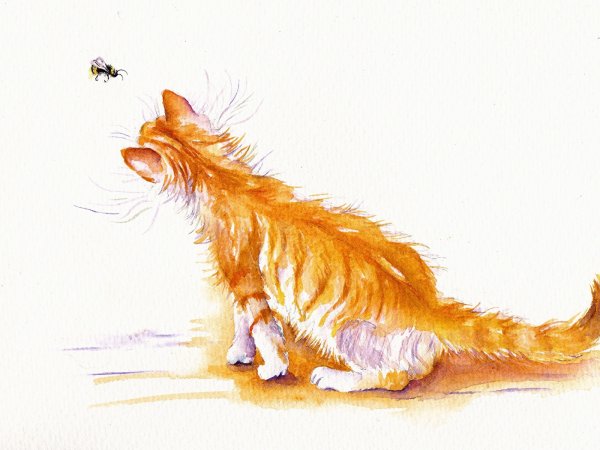 Рыжий котенок нарисованный