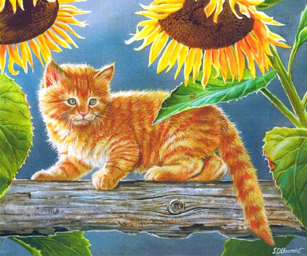 Рыжий кот мультяшный