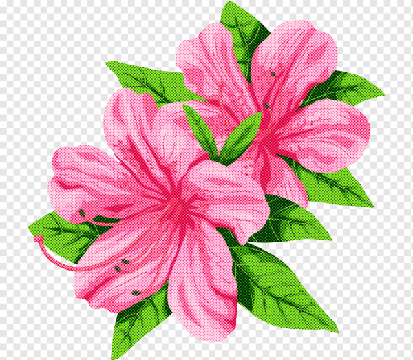 Мультяшные цветы Азалия