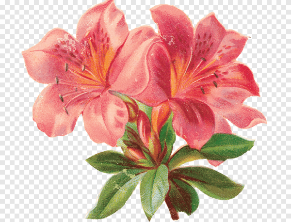 Картинки для декупажа лилии