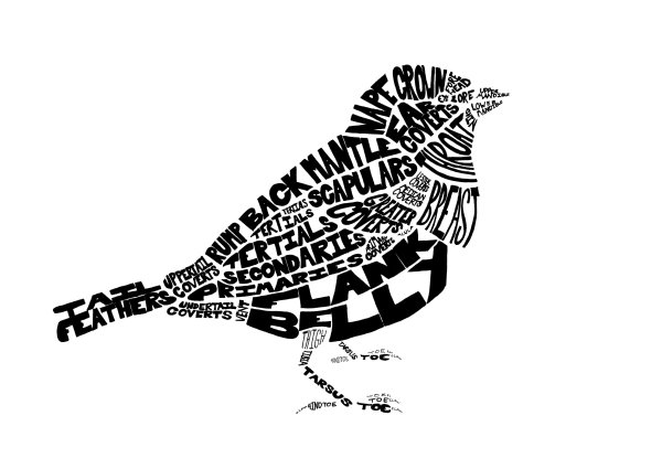 Композиция из шрифтов