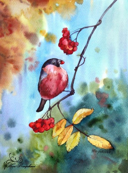 Снегирь Андрияки акварель