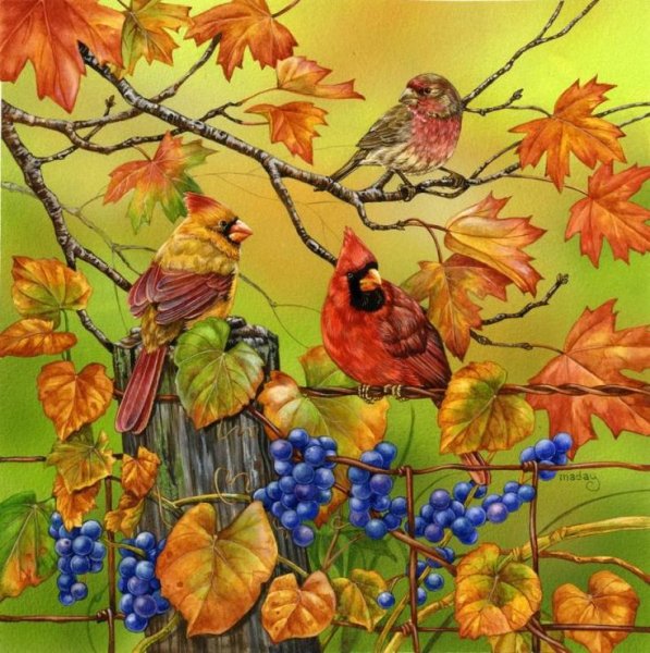 Осень птицы картина