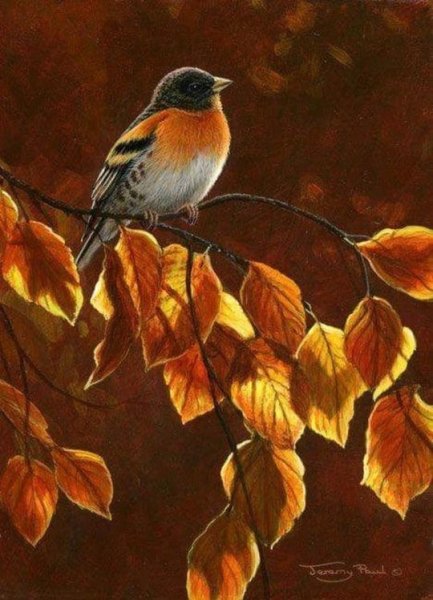 Птицы осенью живопись