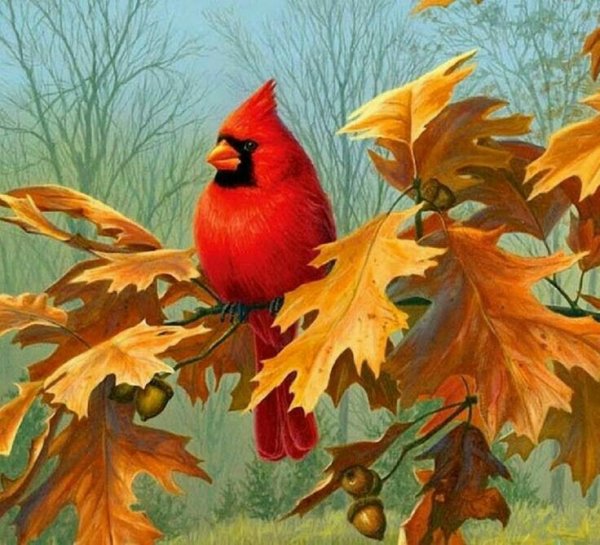 Хаутман, Джеймс