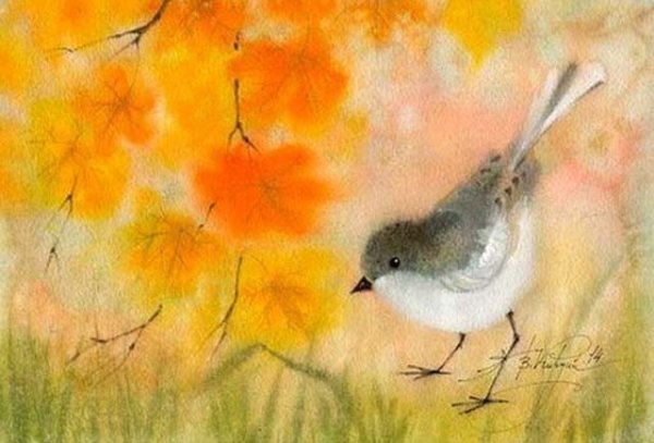 Виктория Кирдий птицы