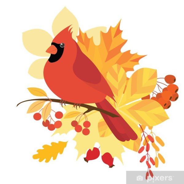 Осенние птицы для детей