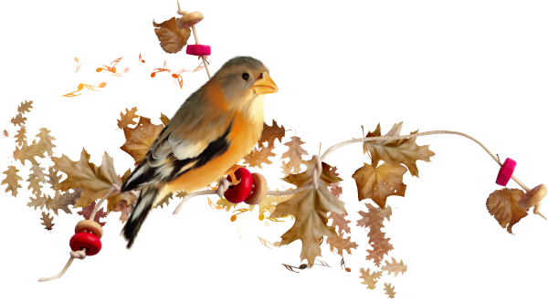 Осенние птицы на прозрачном фоне