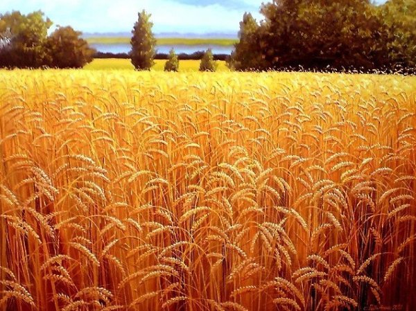 Аркадий Олейник картины пшеничное поле