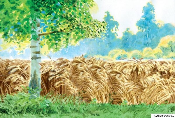 Рисование хлебное поле