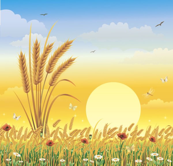 Поле с колосками рисунок