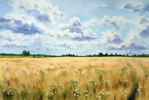 Пшеничная поля с Акварельем