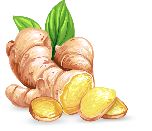 Имбирь на белом фоне