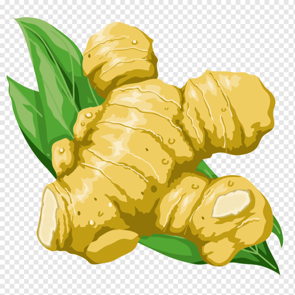 Имбирь мультяшный