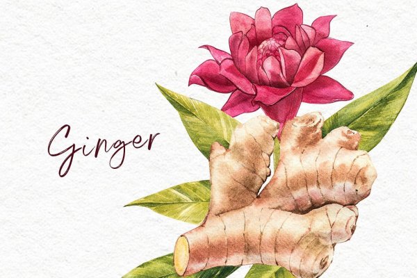 Имбирь акварель