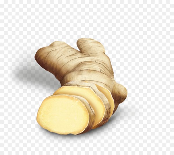 Имбирь вектор