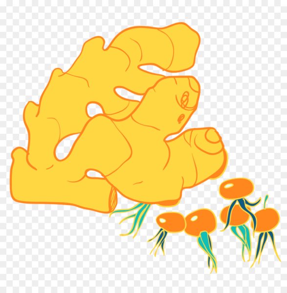 Имбирь нарисованный