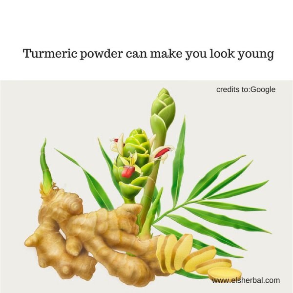 Листочки имбиря