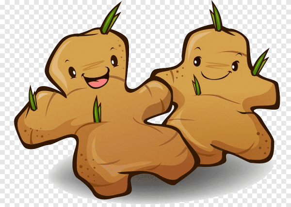 Имбирь мультяшный