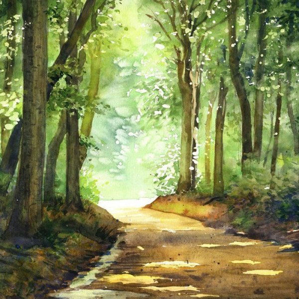 Акварель Этюд Лесная тропа