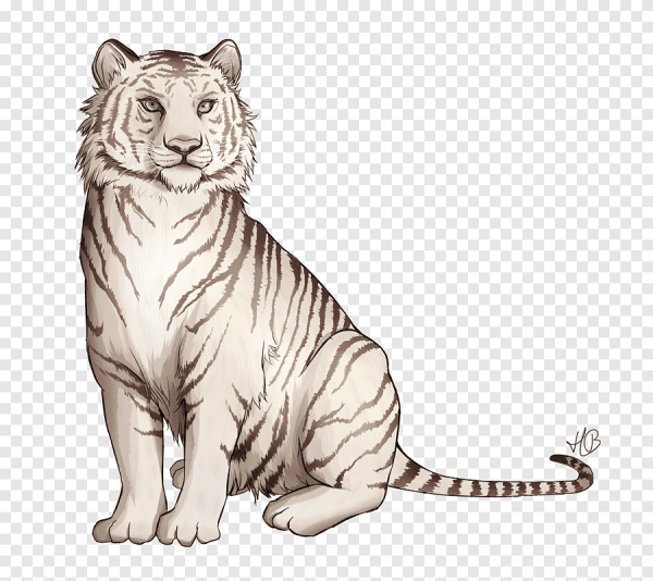 Белый тигр на белом фоне