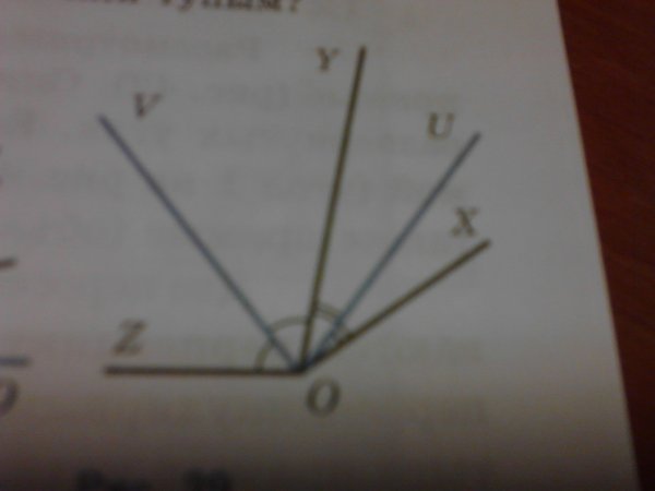 Луч ov является биссектрисой угла Zoy