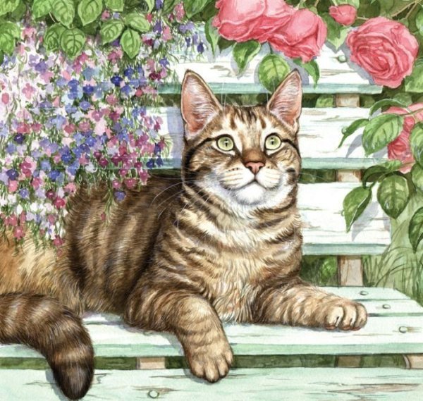 Кошка клипарт на прозрачном фоне