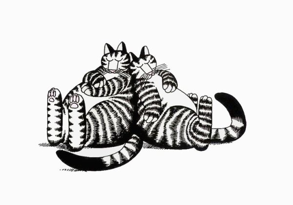 Раскраска полосатый кот