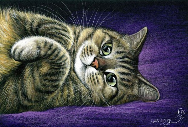 Раскраска кошка полосатая