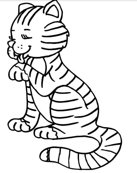 Полосатые котики для рисования