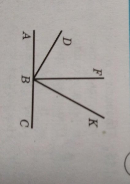 Многоугольники равные фигуры
