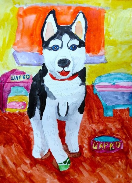 Рисование домашние питомцы