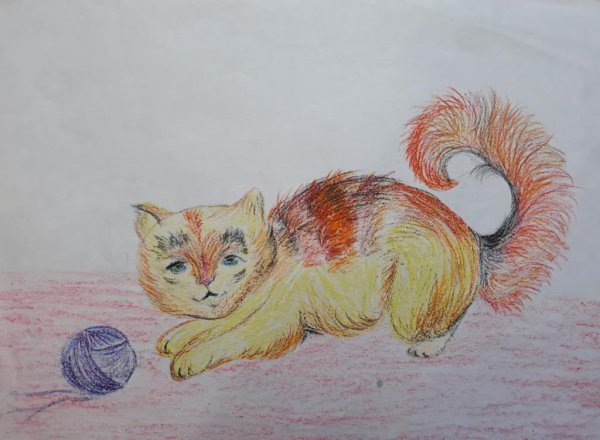 Рисование домашние питомцы