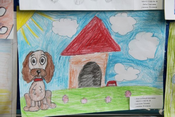 Рисование на тему животные