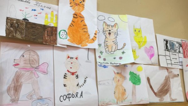 Рисование домашних питомцев