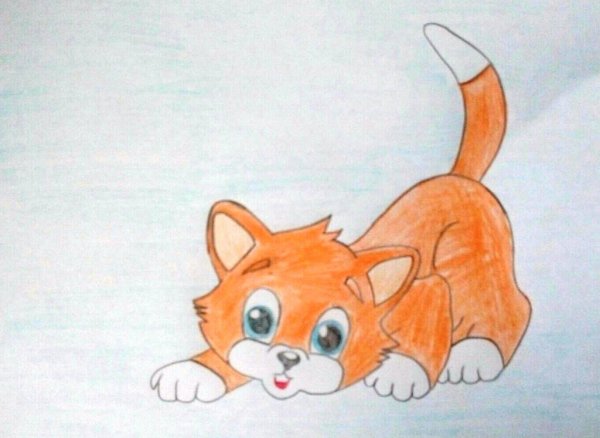Кошка цветными карандашами