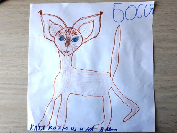 Домашний питомец рисунок