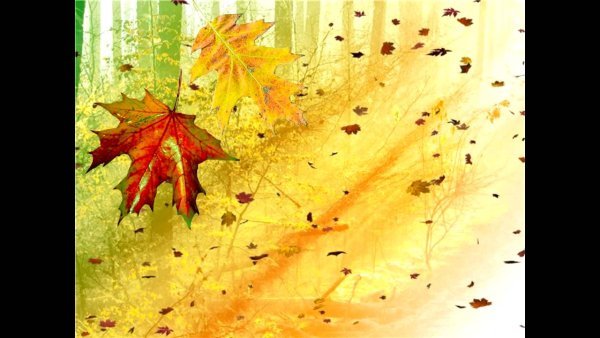 Вихрь из осенних листьев