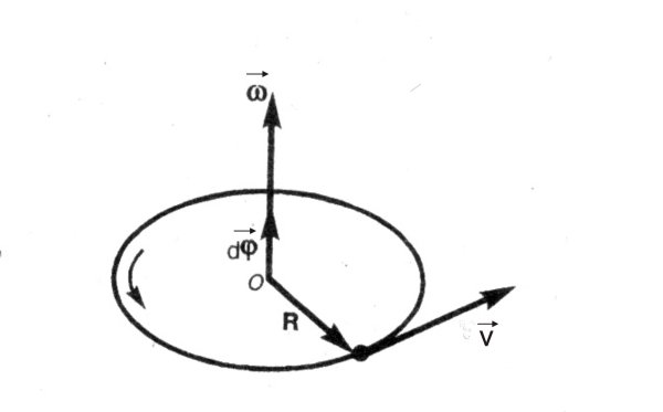 Угловой момент вращения