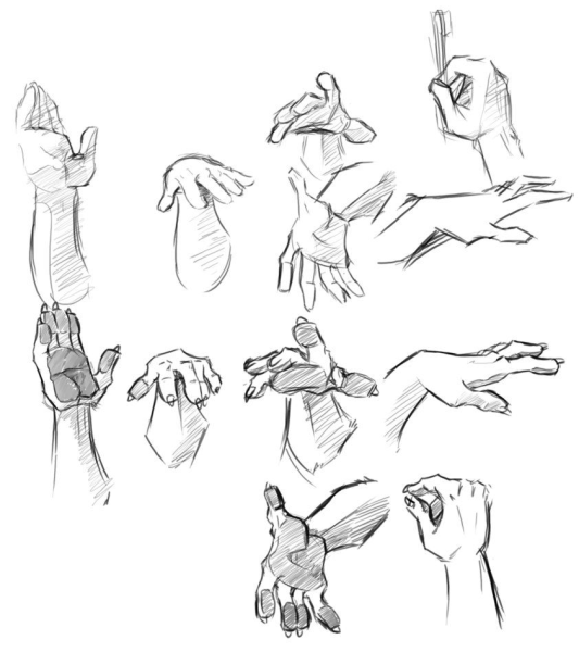 Анатомия рук фурри